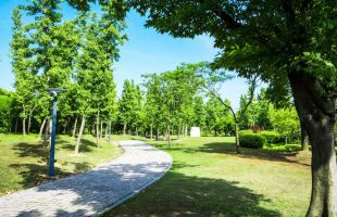 Montecarmelo tendrá un nuevo parque con más de 1.600 árboles