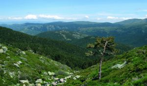 El Parque Nacional de la Sierra de Guadarrama tendrá 1.600 hectáreas más