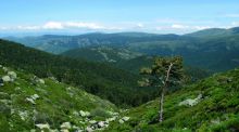 El Parque Nacional de la Sierra de Guadarrama tendrá 1.600 hectáreas más