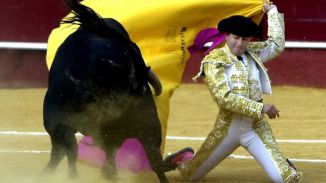 Muere el torero Ricardo Ortiz tras ser corneado en el coso de La Malagueta