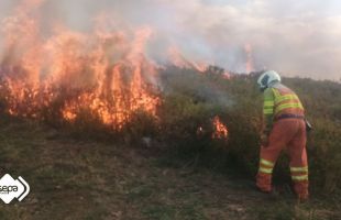 Cinco incendios activos en Cantabria y todos controlados en Asturias