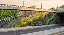 La M-30 tendrá nuevos jardines verticales en un tramo de 400 metros a la altura de Ventas