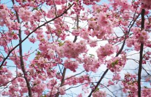 El tiempo: temperaturas de hasta 32 grados este fin de semana