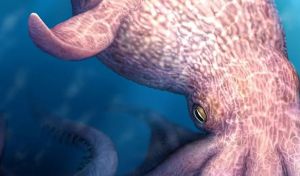 El 'kraken' existió: fue un pulpo de 19 metros y dominó los mares durante el Cretácico