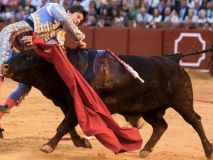 Roca Rey recibe el alta médica cinco días después de una grave cornada de 35 centímetros
 