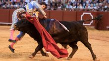 Roca Rey recibe el alta médica cinco días después de su grave cornada en Sevilla