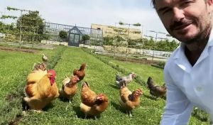 David Beckham cumple 51 años y recibe con alegría su regalo preferido: gallinas