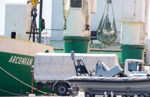 Interceptado el mayor alijo de cocaína en un barco: 30 toneladas en 1.270 fardos valorados en 812 millones