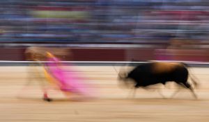 Puerta Grande para la entrega y la firmeza de Álvaro Serrano en la primera novillada