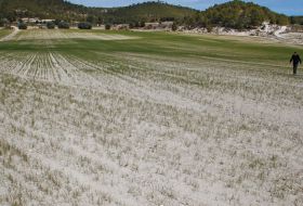 La situación en Oriente Próximo golpea el campo español: la siembra de este año amenaza con ser la más cara