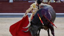Crónica taurina en El Imparcial. San Isidro: la tarde en blanco