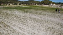 La situación en Oriente Próximo golpea el campo español: la siembra de este año amenaza con ser la más cara