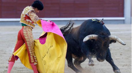 Crónica taurina | Feria de San Isidro: grandeza de Castella y Cantaor
