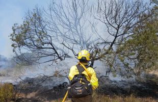 Estabilizado el incendio en el Parque Nacional de Doñana