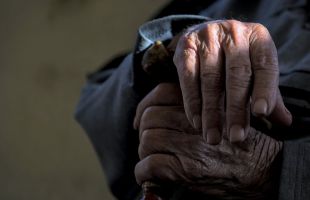 Hallan 'relojes moleculares' que estiman la esperanza de vida en mamíferos