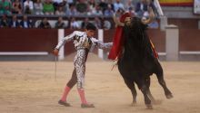 Crónica taurina en El Imparcial. San Isidro: Pedraza de Yeltes gana la partida