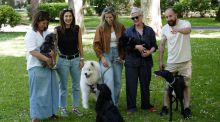 Una aplicación española monitoriza la salud de los perros para prevenir enfermedades