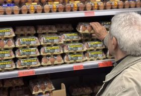 La gripe aviar impulsa al alza el precio del huevo tras sacrificar 2,7 millones de aves