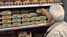 La gripe aviar impulsa al alza el precio del huevo tras sacrificar 2,7 millones de aves