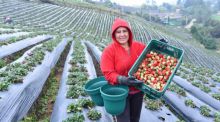 Agricultores y ganaderos necesitan mayor protección ante los efectos del cambio climático