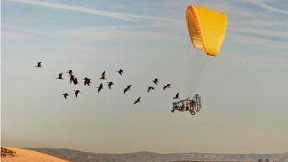 Premio Nature a la imagen de dos científicos siguiendo a las aves por los cielos de Jaén
 