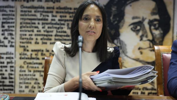 El ministro de Interior afirmó que Mercedes González 'no tuvo ningún contacto' con la fontanera de Ferraz.
