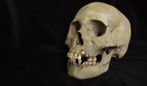 La peste ya era mortal hace 5.500 años entre cazadores-recolectores de Siberia