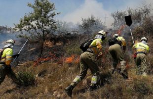 Activos dos incendios de más de 20 hectáreas en zonas rurales de La Coruña y Orense