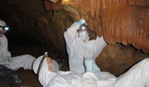Hallan ADN milenario en las pinturas rupestres de varias cuevas de España y Portugal