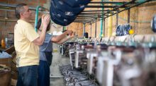 Las mipymes forman el tejido empresarial, pero necesitan crecer para mejorar productividad