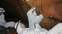 Hallan ADN milenario en las pinturas rupestres en cuevas de España y Portugal