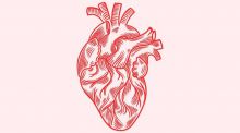 El corazón tiene un ‘bypass’ natural