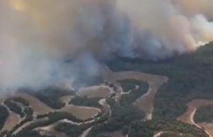 Incendios forestales: el fuego en Leciñena continúa fuera de control y 200 desalojados en Despeñaperros