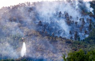 Cuatro incendios simultáneos en Cataluña arrasan cientos de hectáreas en plena ola de calor
