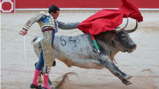 Galván y Diosleguarde pasean trofeos de una manejable corrida de Cebada Gago