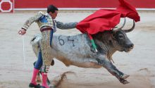 Galván y Diosleguarde pasean trofeos de una manejable corrida de Cebada Gago