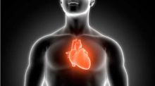 Identifican una nueva estrategia para prevenir las arritmias cardiovasculares