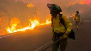 Al menos 12 muertos y 1.405 desalojados en un devastador incendio en Almería