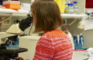 Descifrar el cerebro para entender el metabolismo y la infertilidad