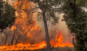 Cataluña y Aragón enfrentan nuevos incendios simultáneos en plena ola de calor
