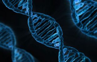 Crean un atlas con más 92 millones de elementos del ADN que controlan los genes humanos