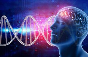 Esquizofrenia: más de 640 genes asociados