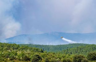 Nuevos incendios en Castilla y León mientras evacúan 34 localidades por el de Guadalajara
