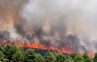 Guadalajara enfrenta dos incendios simultáneos en plena ola de calor