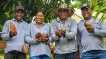 Una red de pequeños negocios impulsa el turismo local a orillas del mar Caribe