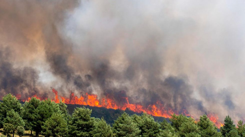 El incendio en la Sierra Norte de Guadalajara sigue sin estabilizarse y arrasa 32.000 hectáreas