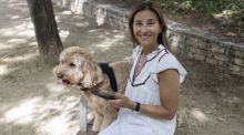 Un dispositivo biométrico ayuda a los dueños de los perros a anticipar problemas de salud