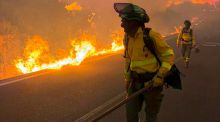 Muere una mujer herida en el incendio de Los Gallardos y las víctimas suben a 14