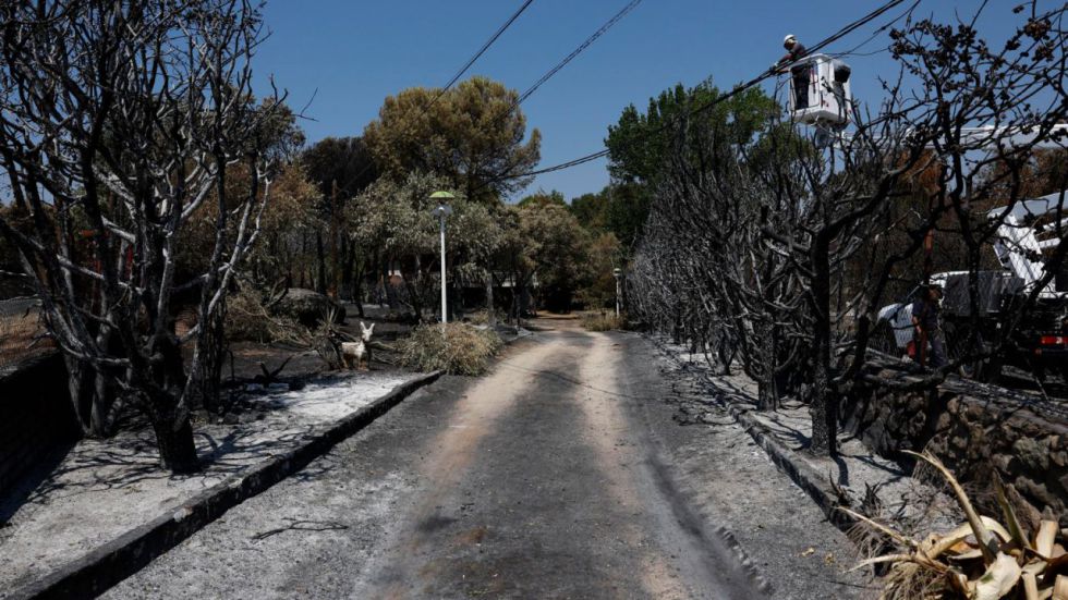 Interior da por estabilizado el incendio en la Comunidad de Madrid