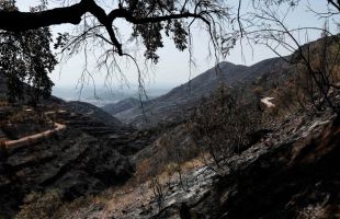 El Gobierno cifra en 180.000 las hectáreas quemadas en España y 38 grandes incendios